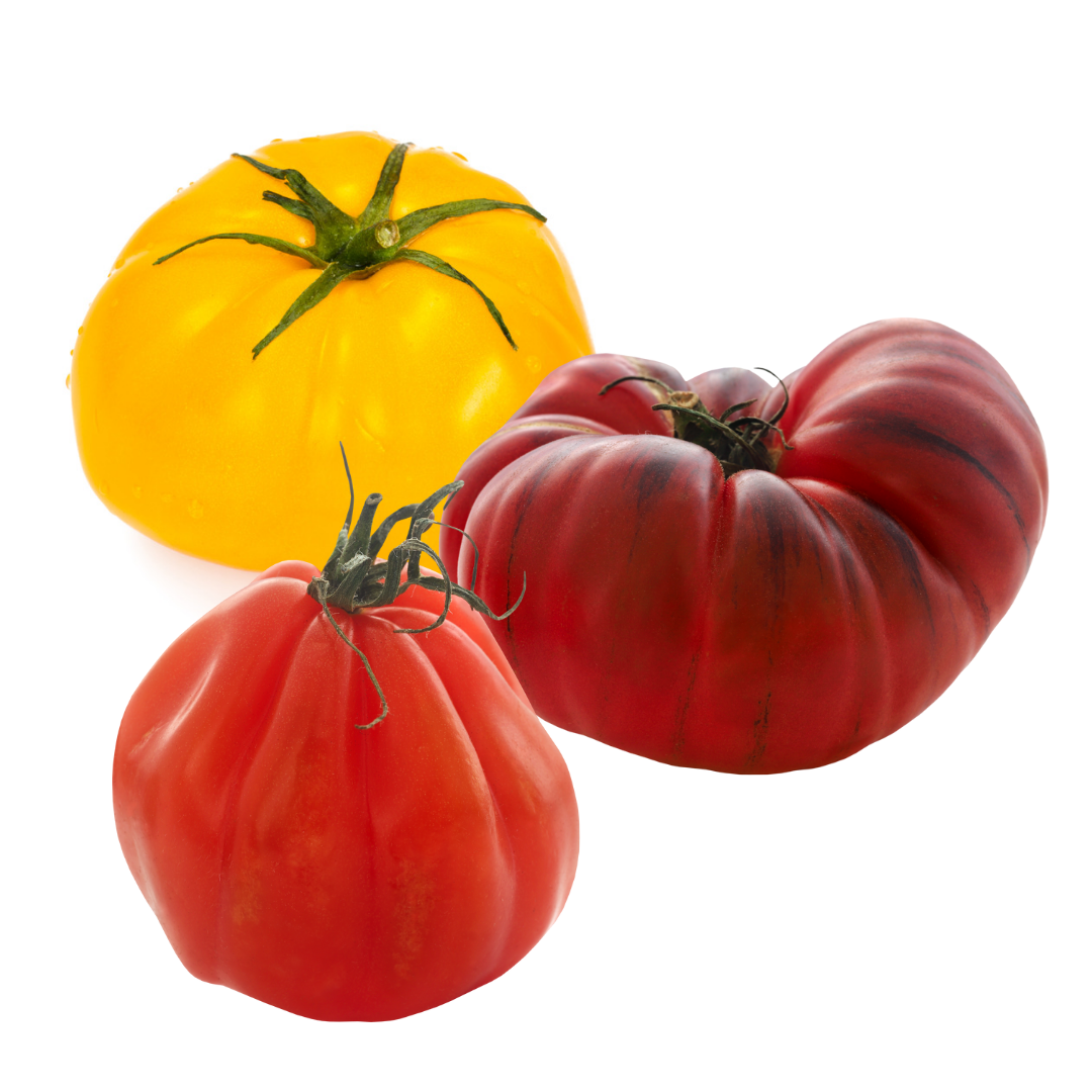 Tomates Collections