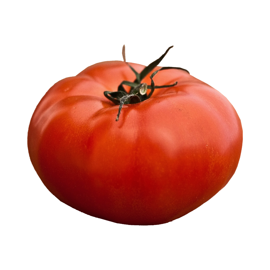 Tomate à Farcir
