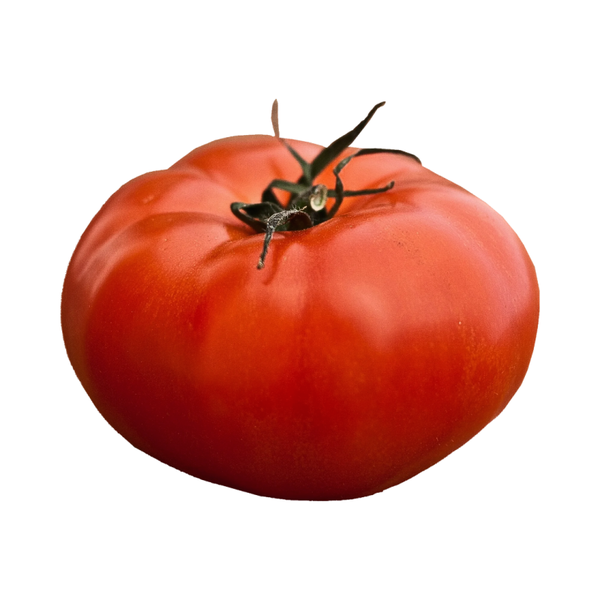 Tomate à Farcir