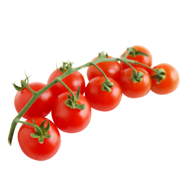 Tomates Cerises Grappe
