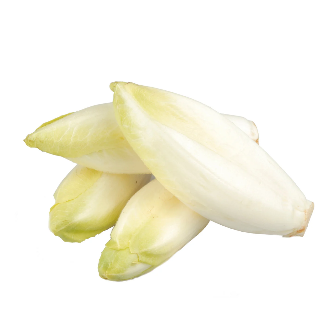 Endives Extra