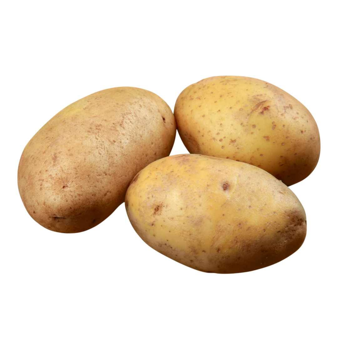 Pomme de terre FONIA