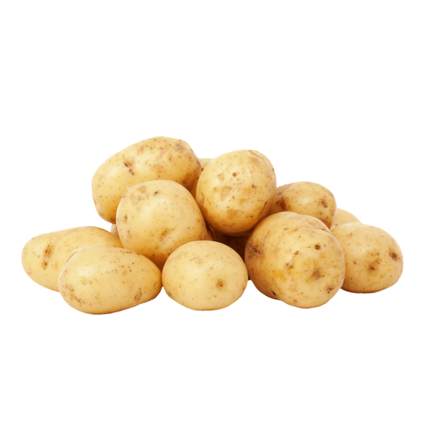 Pomme de terre ALLIANS