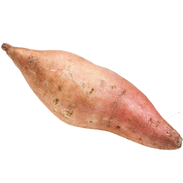Patate douce