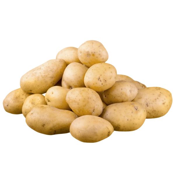 Pomme de terre Mitraille
