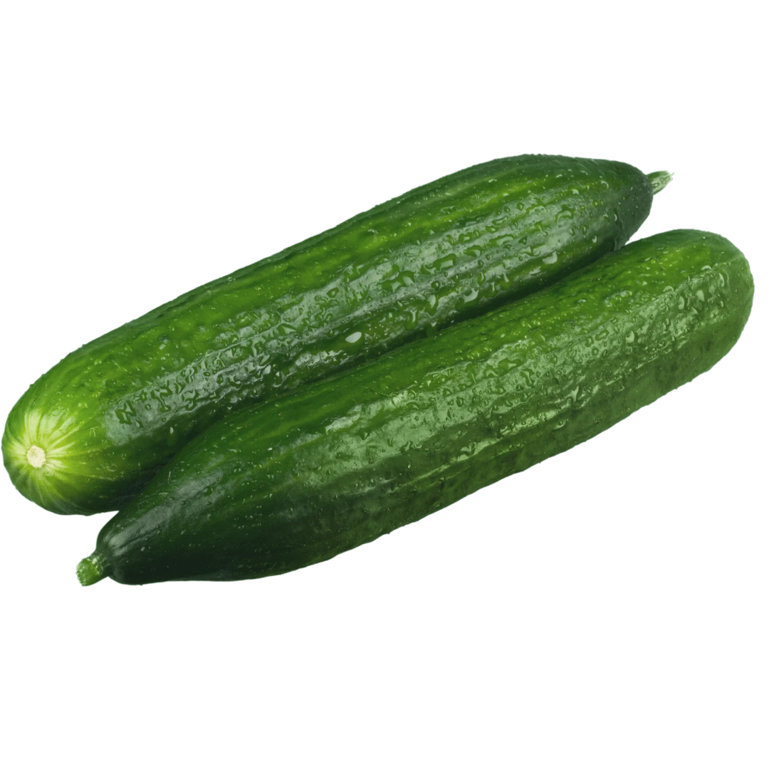 Concombre