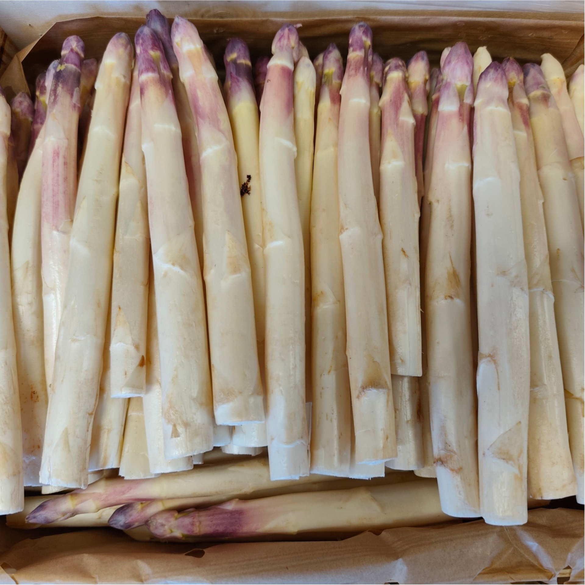 Asperges blanches