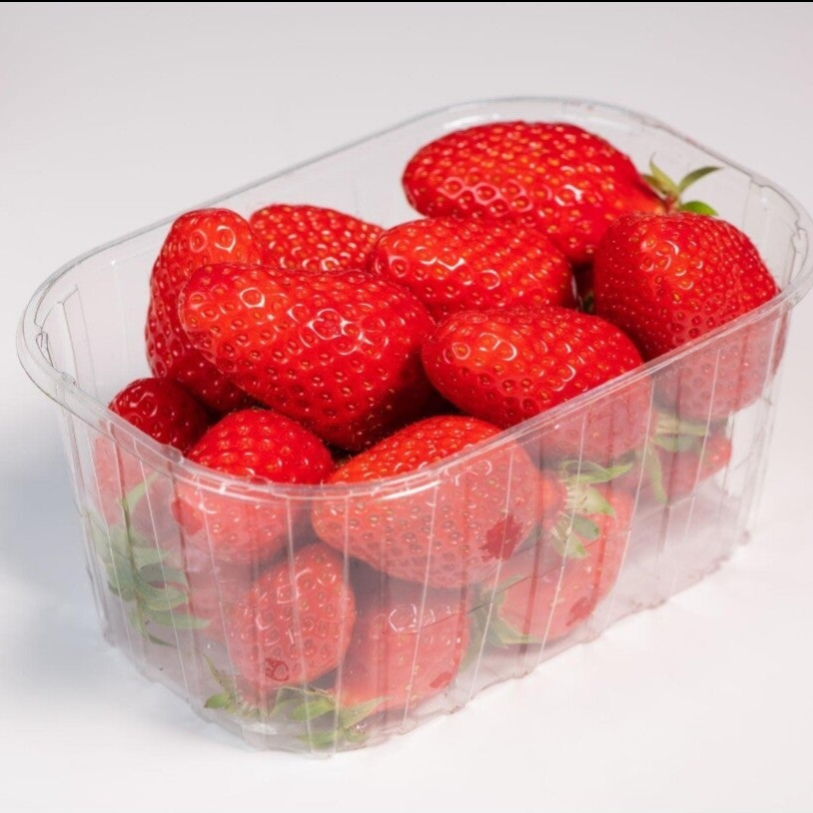 Fraises Gariguette