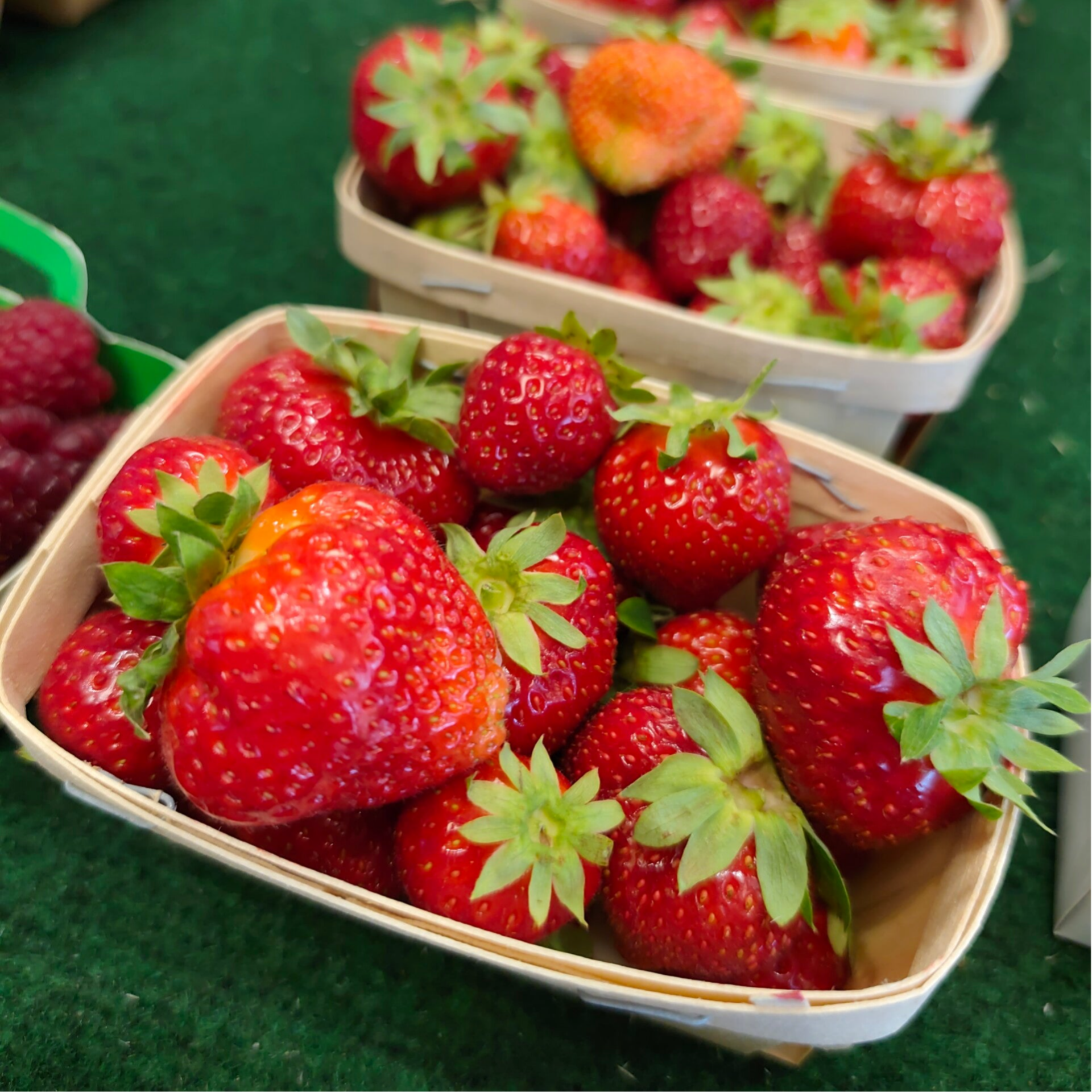Fraises Annabelle