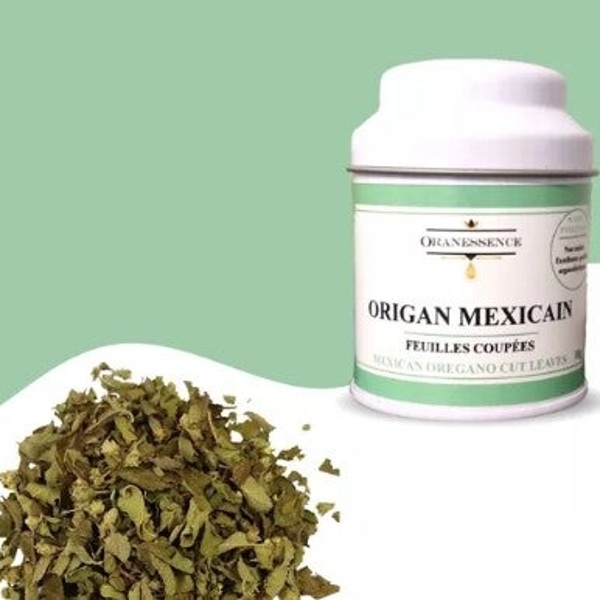 Origan Mexicain