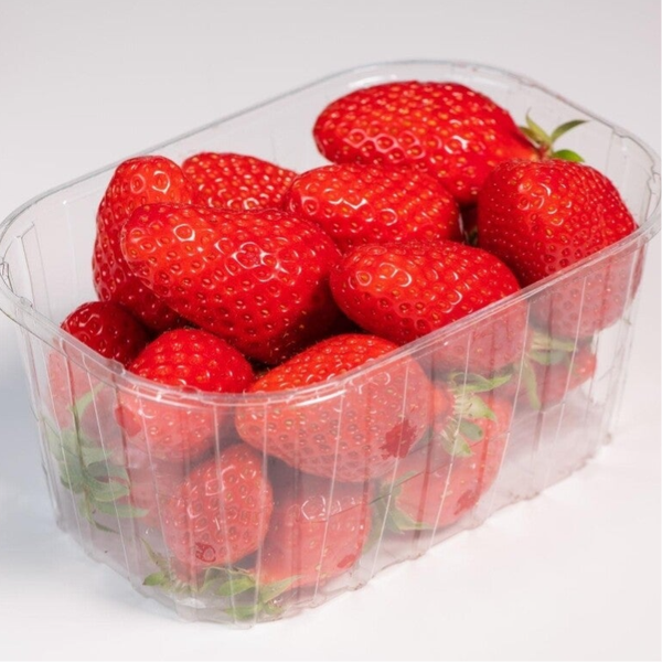 Fraises Magnum