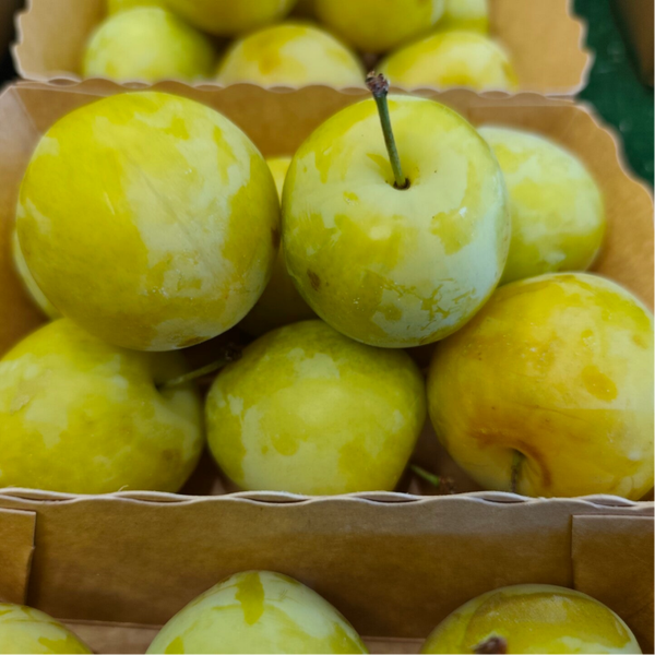 Prune Jaune