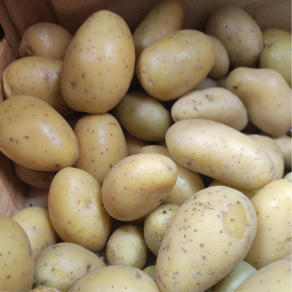 Pomme de terre Grenaille