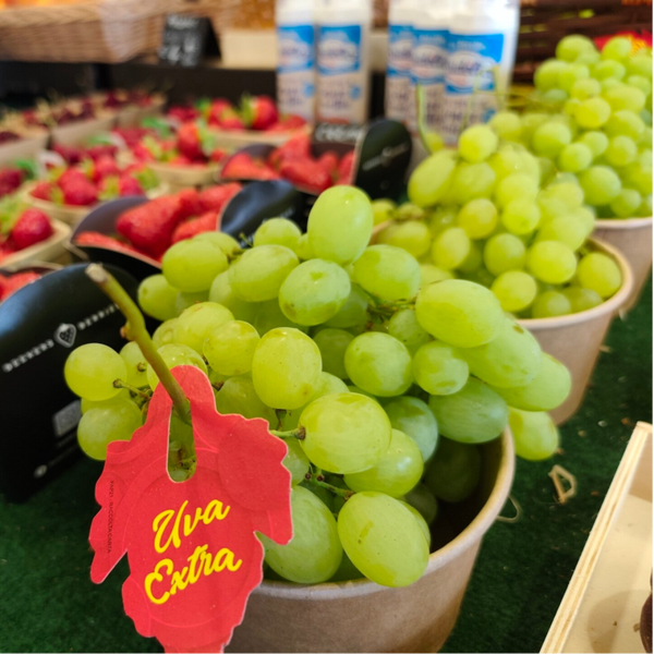 Raisin blanc Victoria Sans Pépin