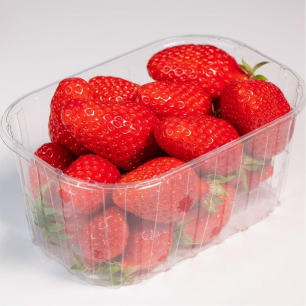 Fraises Gariguette
