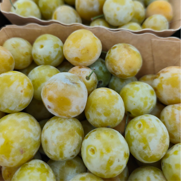 Prune Mirabelle