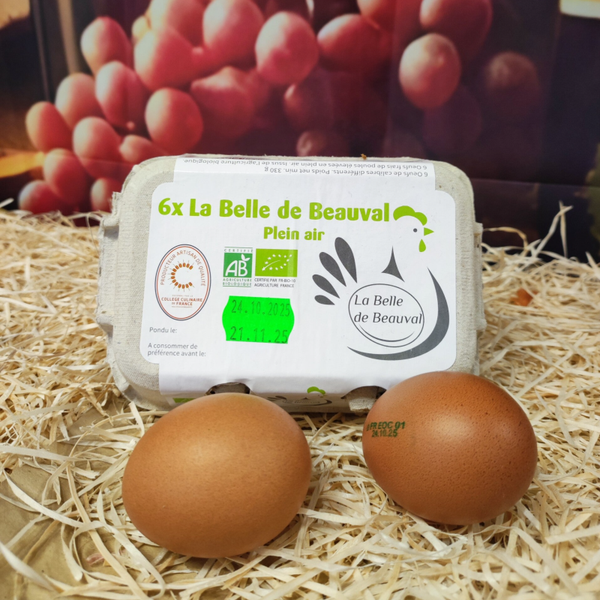 Boîte 6 Œufs Normands