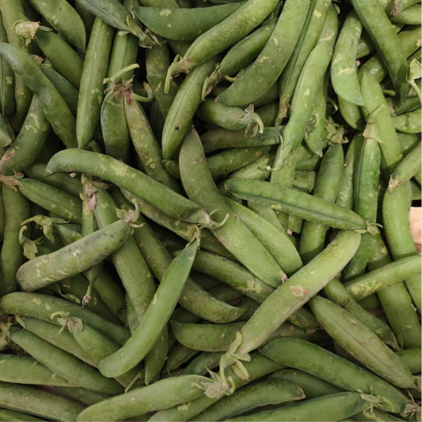 Petit Pois