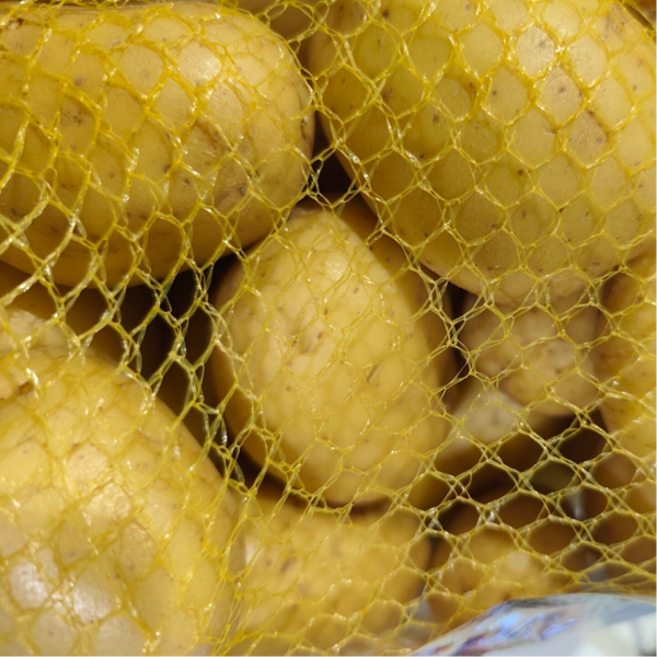 Pomme de terre FONIA
