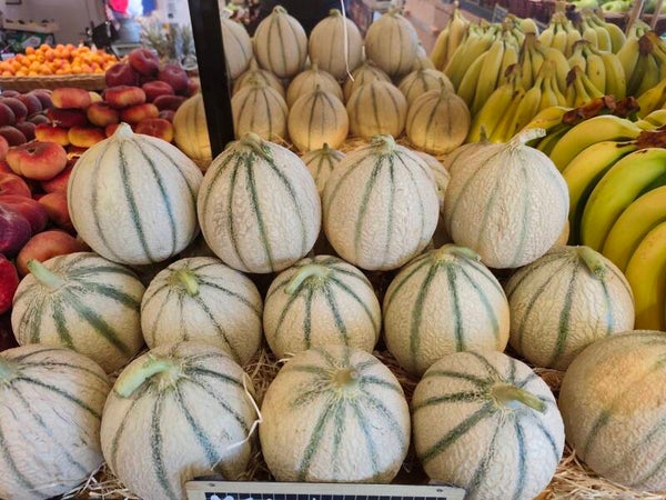 Melon Camargue France