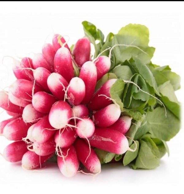Bottes de Radis Roses
