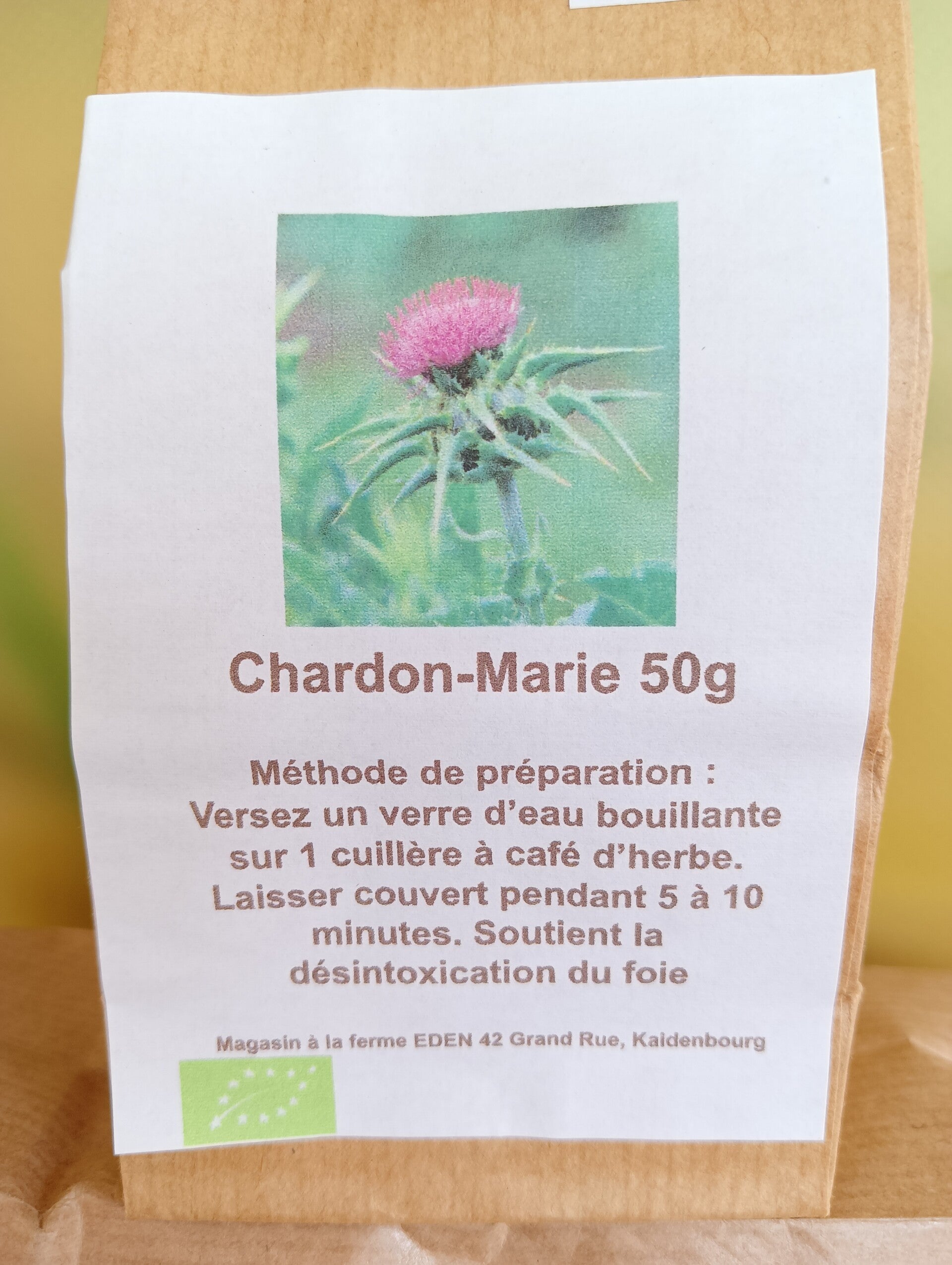 Chardon-Marie  - Mariendistel - Ostropest plamisty