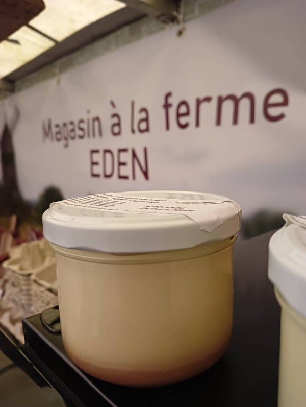 Flan de Dessert  - Dessert Flan - Deser Flan
