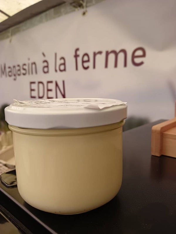 Flan de Dessert  - Dessert Flan - Deser Flan