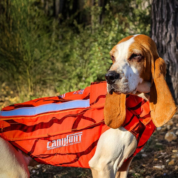 Gilet de protection pour chien DEFENDER 2.0