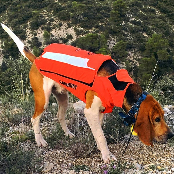Gilet pour chien Protect LIGHT