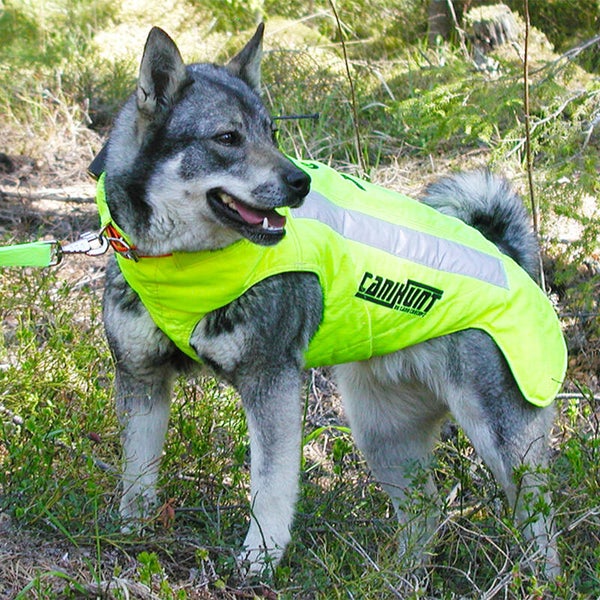 Gilet pour chien Protect PRO CANO