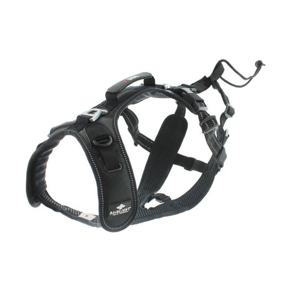 Harnais chien RAIDLIGHT i-DOG