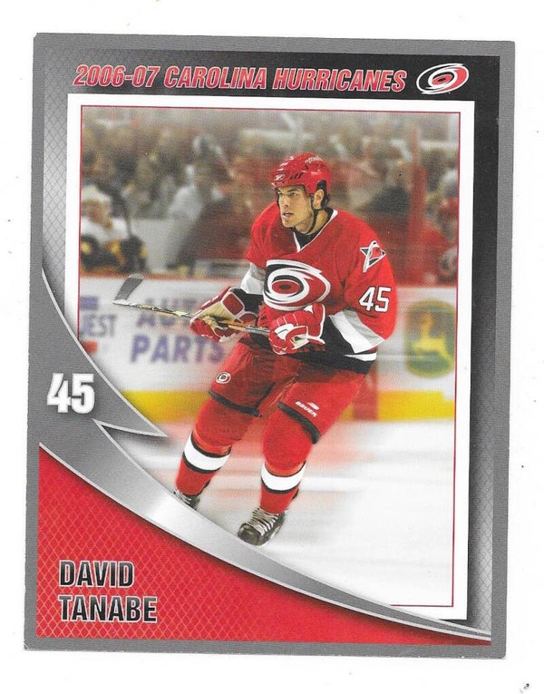 2006-07 Carolina Hurricanes Teamissued NHL Ice Hockey Card #45 David Tanabe , Univ. of Wisconsin