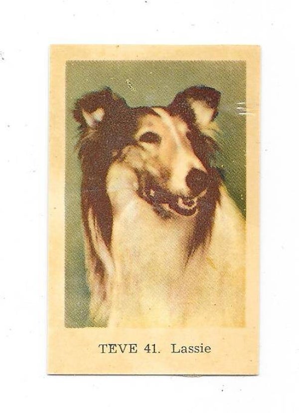 1962 Dutch Gum Teve Set trading card #41 Lassie