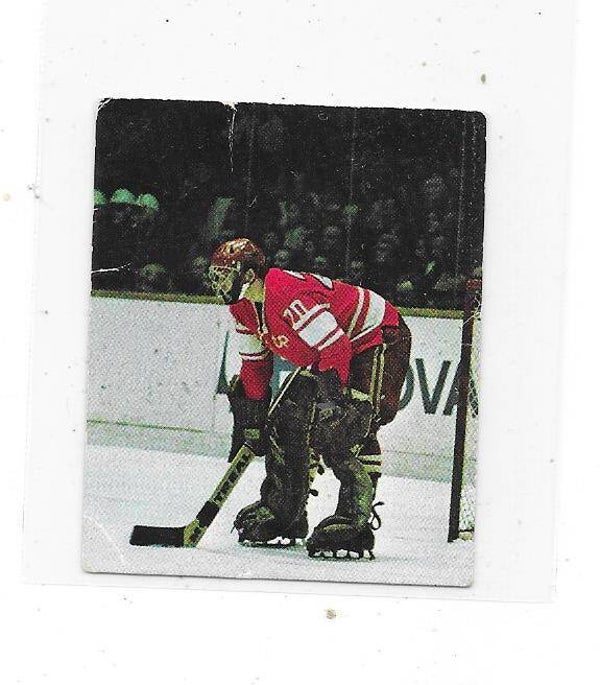 1972-73 Finnish Williams Jääkiekko #37 Vladislav Tretyak , CCCP