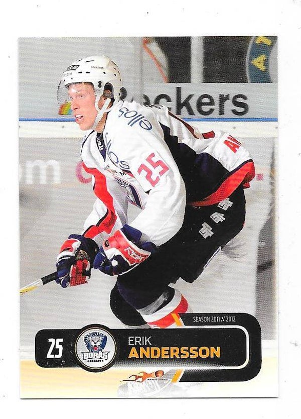 2011-12 Swedish Hockey Allsvenskan #48 Erik Andersson , Borås HC
