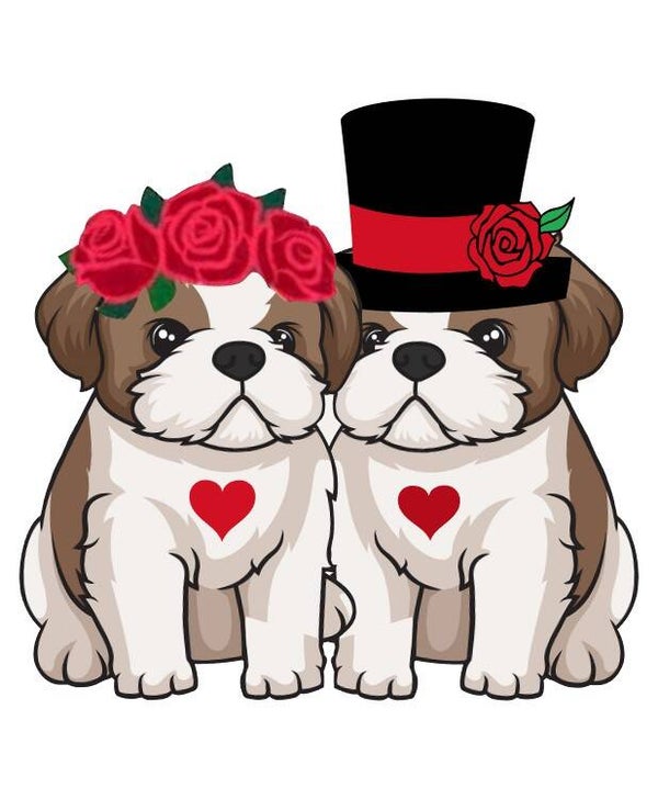 Shih Tzu Valentine