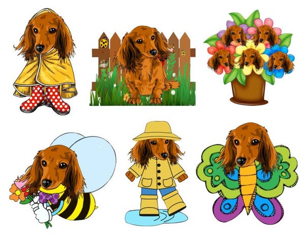 Doxie Tan Long Hair Spring - {Set of 6}