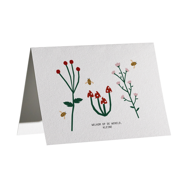 KAART WELKOM OP DE WERELD, KLEINE