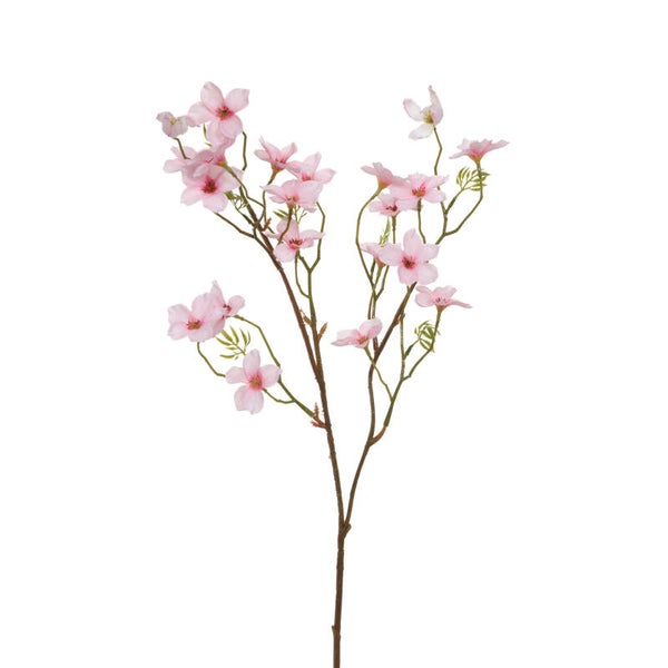 Cerisier Prunus rose H73 cm