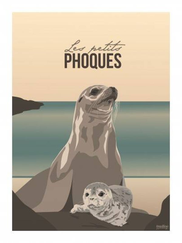 Les petits phoques
