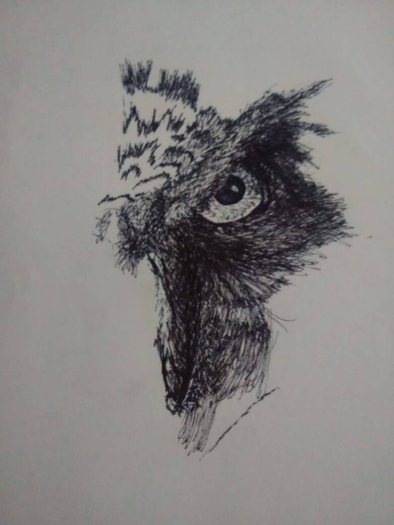 10-min-challenge-on-ferry-crossing-almost-owl-standard.jpg