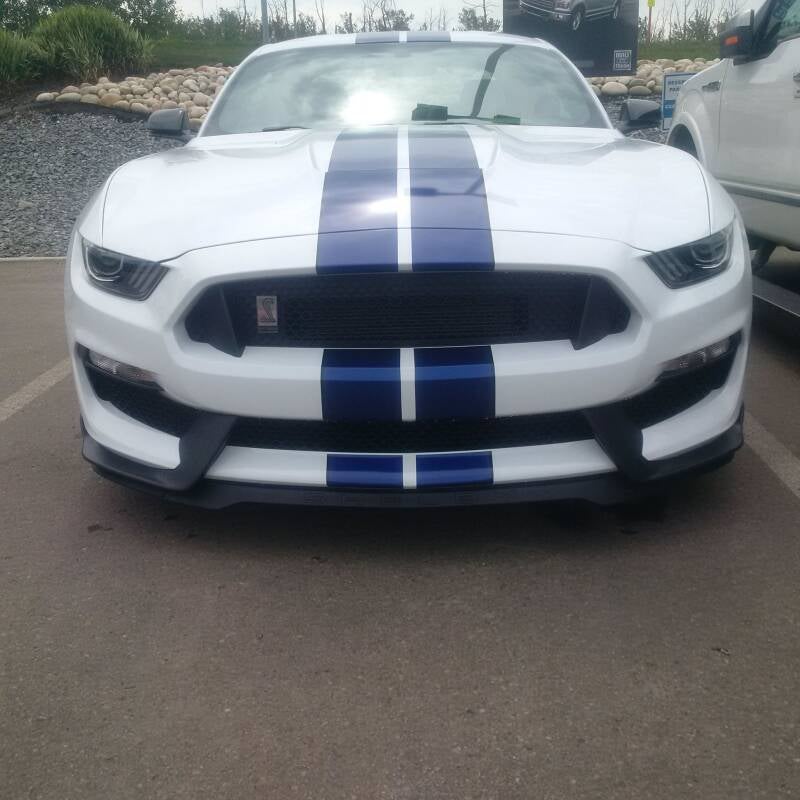 2017-gt350-new-smell-standard.jpg