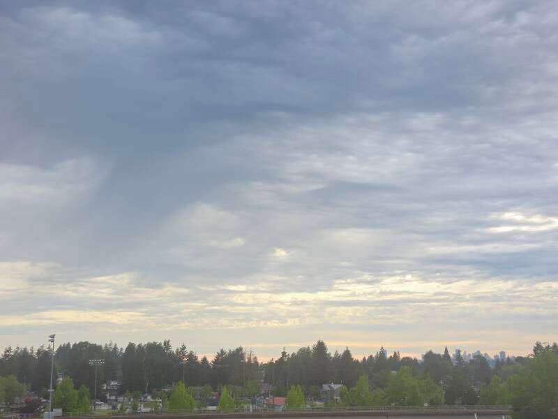 20260512_185602-standard.jpg