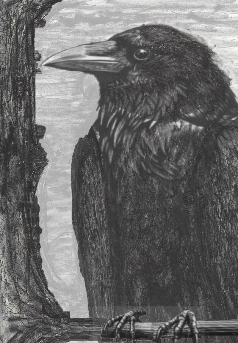 CROW FOR SCHOOL