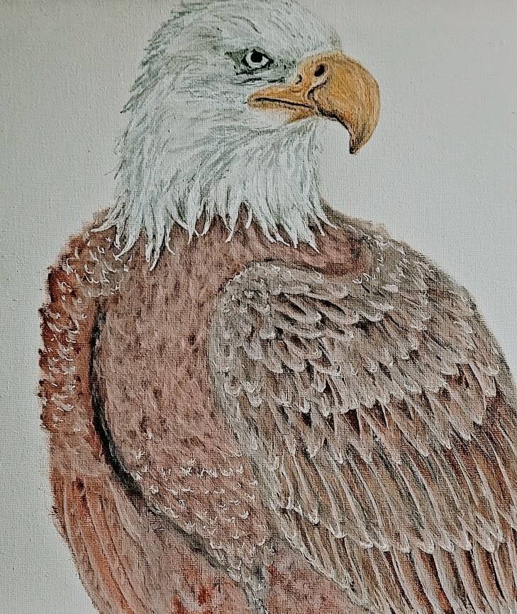eagle-canvas-standard.jpg