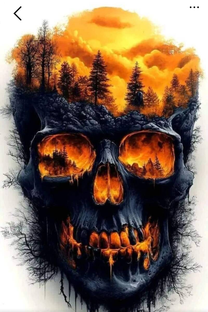 fire-skull-forest-standard.jpg