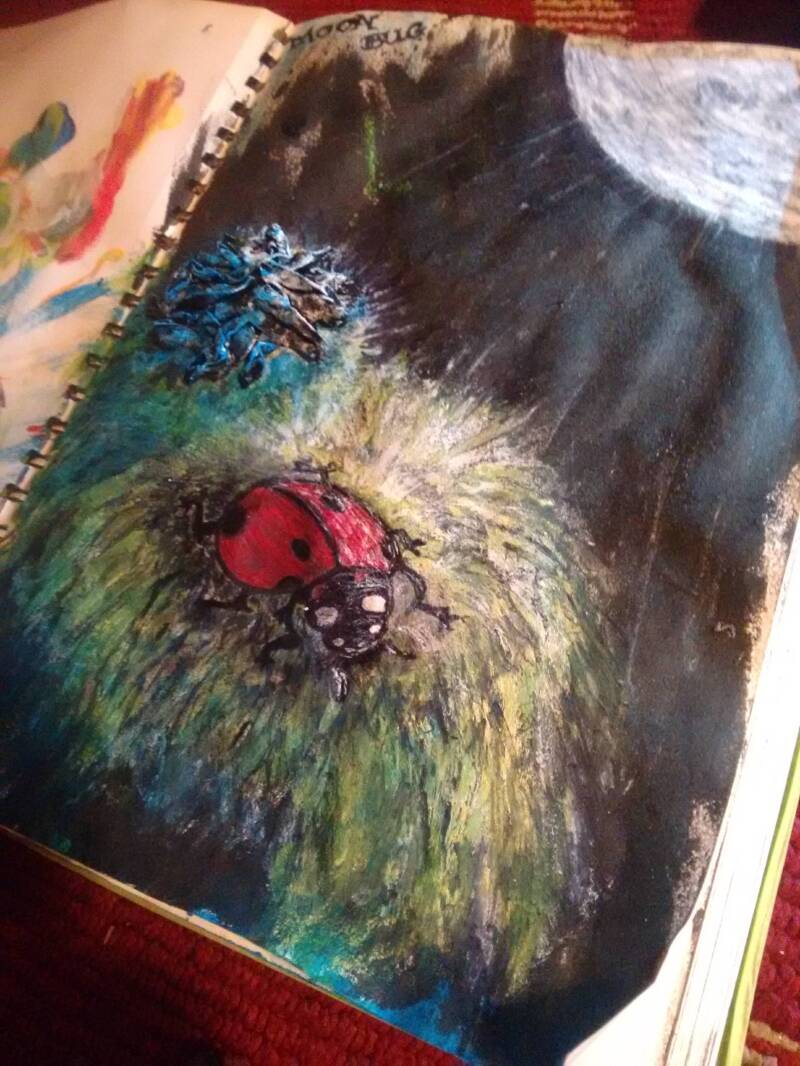 moonlit-bug-standard.jpg