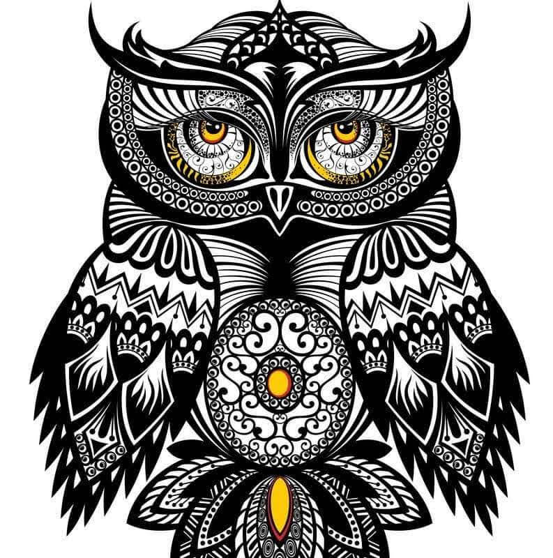 owl-art-computer-standard.jpg