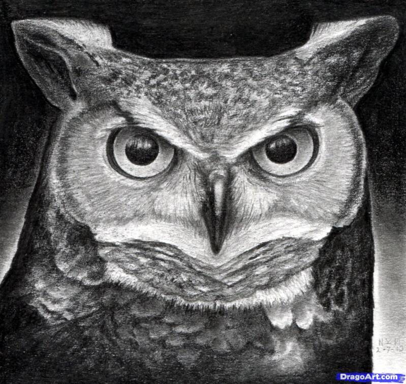 pencil-owl-standard.jpg